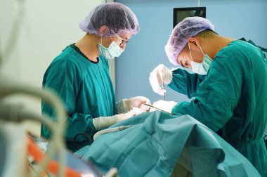 Ameliyathanede iki veteriner cerrah var.