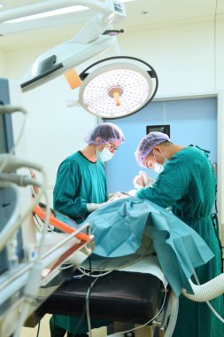 Ameliyathanede iki veteriner cerrah var. 