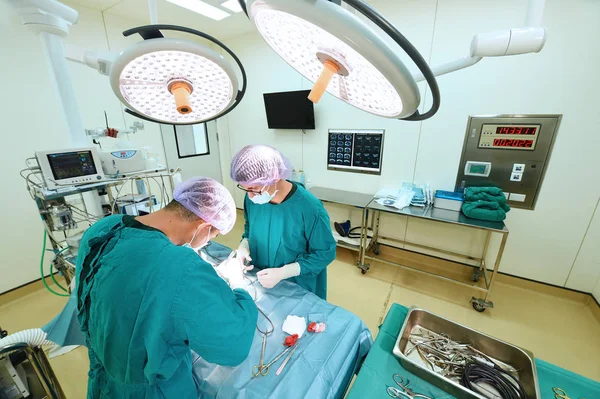 Dois cirurgiões veterinários na sala de operações — Fotografia de Stock