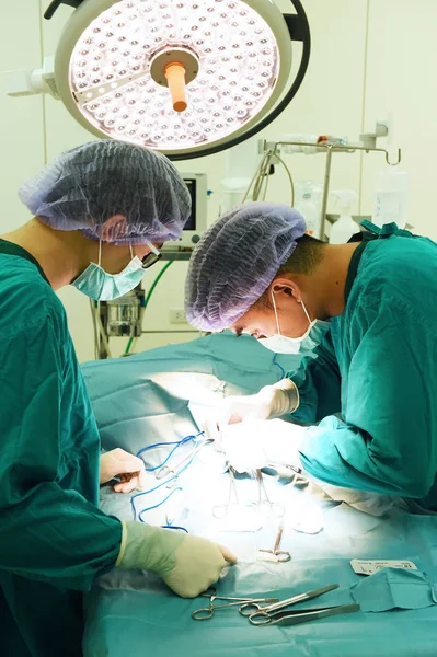 两名兽医在手术室里 — 图库照片