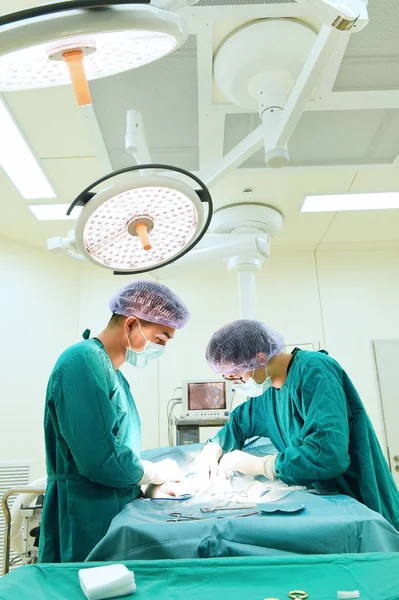 手術室にいる2人の獣医師は — ストック写真