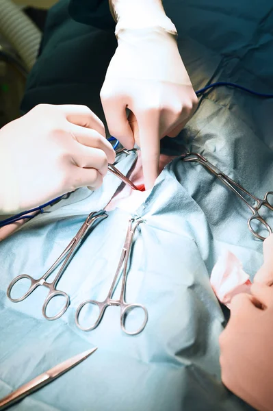 Veterinarian surgery in operation room — Stock Photo, Image