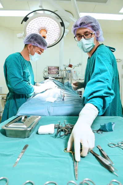 Δύο κτηνίατροι χειρουργοί στο χειρουργείο — Φωτογραφία Αρχείου