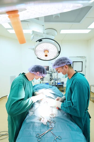 Dois cirurgiões veterinários na sala de operações — Fotografia de Stock