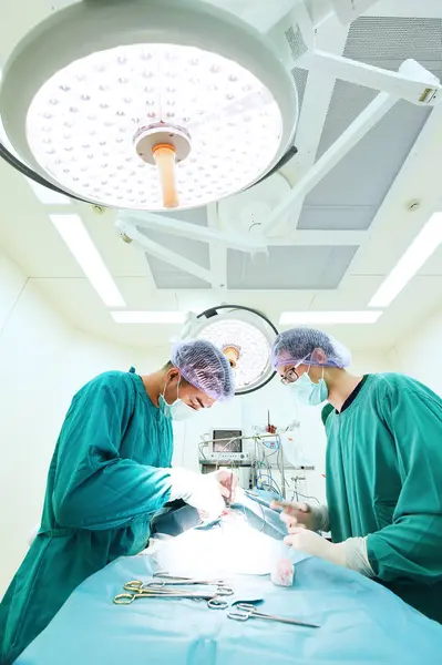 Dois cirurgiões veterinários na sala de operações — Fotografia de Stock