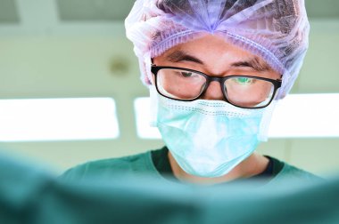 Veteriner Cerrahi operasyon odasında 