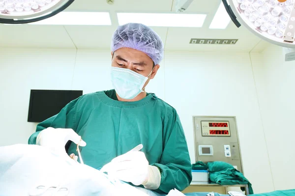 Chirurgie vétérinaire en salle d'opération — Photo