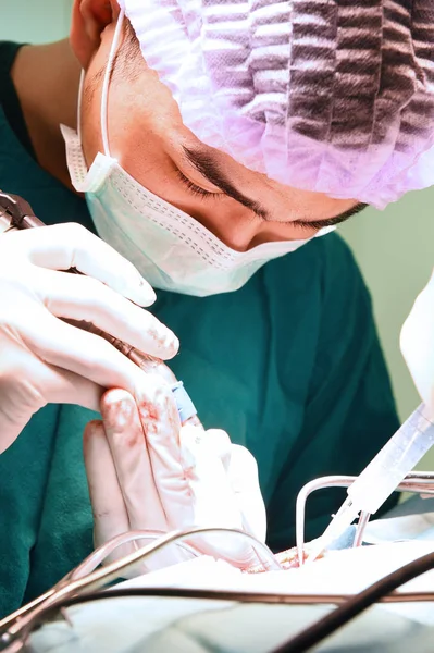 Veterinarian surgery in operation room — Stock Photo, Image