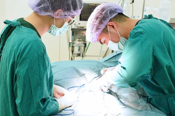 Dois cirurgiões veterinários na sala de operações — Fotografia de Stock