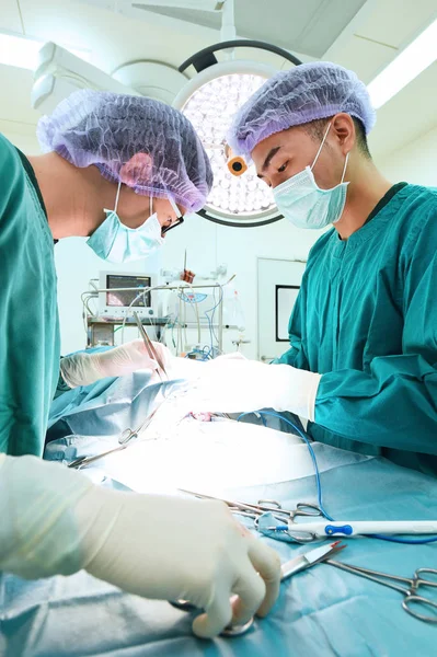 Two veterinarian surgeons in operating room — Stock Photo, Image