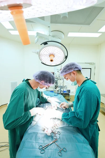 Two veterinarian surgeons in operating room — Stock Photo, Image