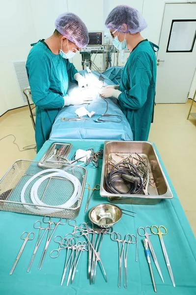 Två veterinärer i operationssalen — Stockfoto