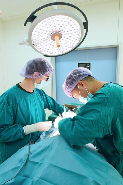 Due veterinari in sala operatoria — Foto Stock