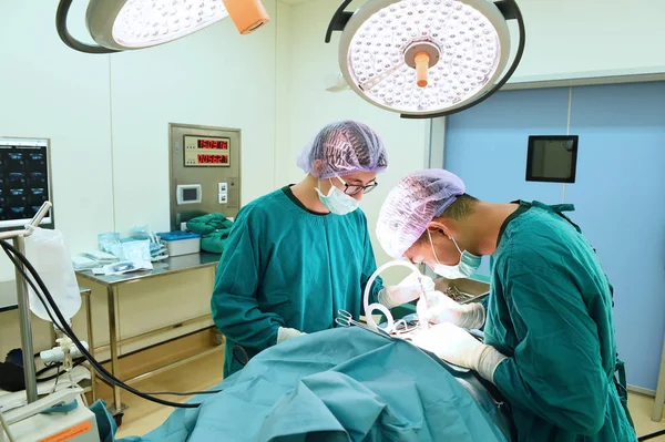 Dois cirurgiões veterinários na sala de operações — Fotografia de Stock