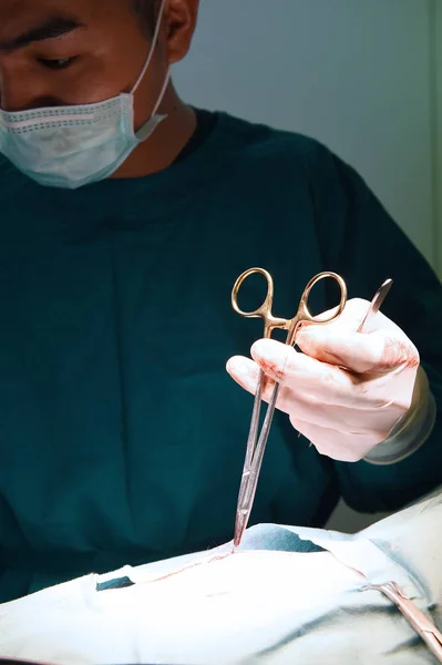 Ветеринарные хирурги в операционной — стоковое фото