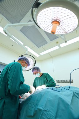 Ameliyathanede iki veteriner cerrah var.