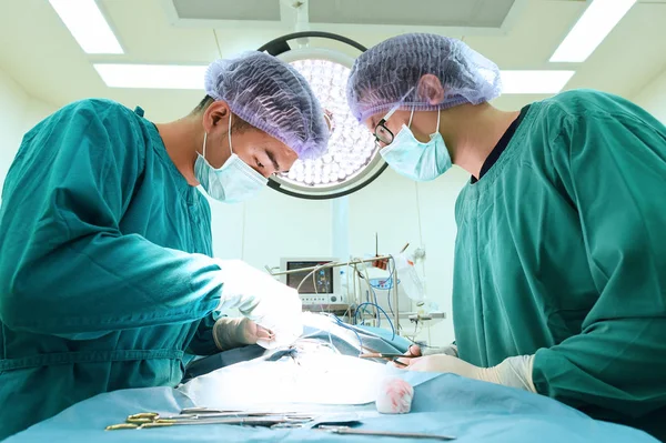 Dois cirurgiões veterinários na sala de operações — Fotografia de Stock