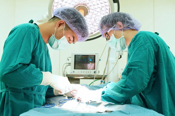 Two veterinarian surgeons in operating room — Stock Photo, Image