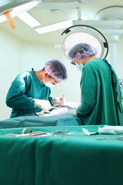 Two veterinarian surgeons in operating room — Stock Photo, Image