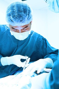 Veteriner cerrahlar ameliyathanede. 