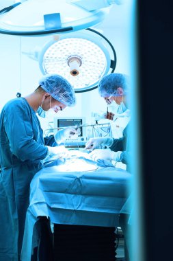 Ameliyathanede iki veteriner cerrah var. 