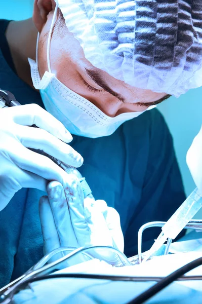 Ветеринарні хірурги в операційній — стокове фото