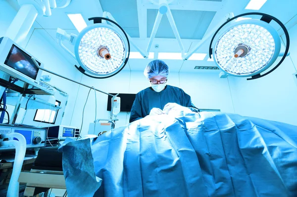 Veterinärer i operationssalen — Stockfoto