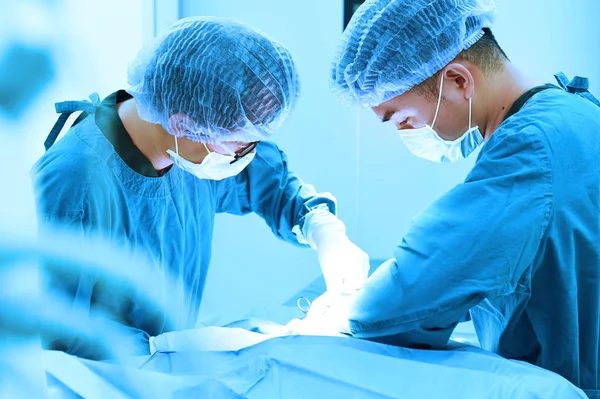 Dois cirurgiões veterinários na sala de operações — Fotografia de Stock