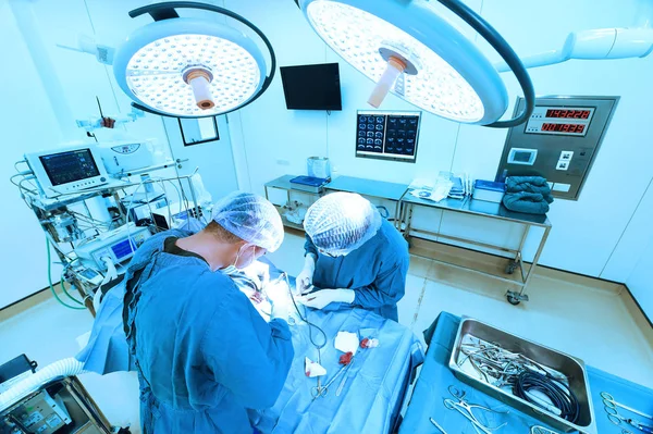 Dois cirurgiões veterinários na sala de operações — Fotografia de Stock