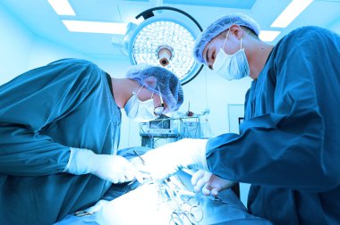 Ameliyathanede iki veteriner cerrah var. 