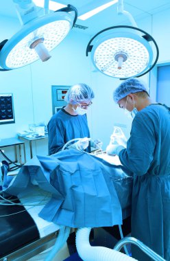 Ameliyathanede iki veteriner cerrah var. 