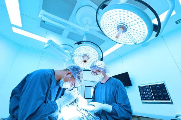 Dois cirurgiões veterinários na sala de operações — Fotografia de Stock