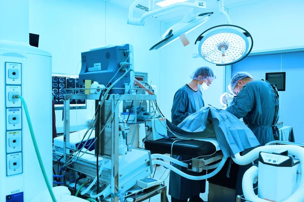 Dos veterinarios en quirófano —  Fotos de Stock