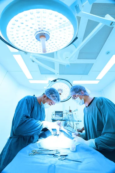 Dois cirurgiões veterinários na sala de operações — Fotografia de Stock