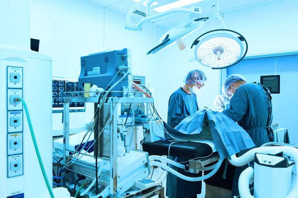 Dos veterinarios en quirófano —  Fotos de Stock