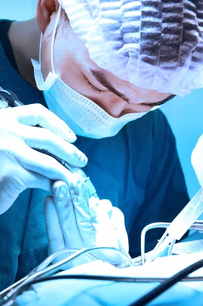 Veterinář chirurgové na operačním sále — Stock fotografie