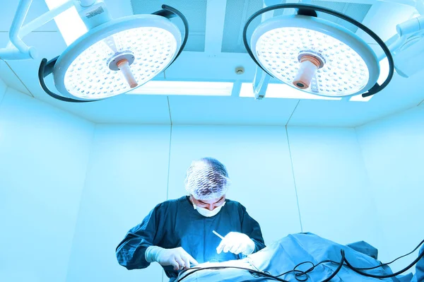 Chirurghi veterinari in sala operatoria — Foto Stock