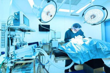 Veteriner cerrahlar ameliyathanede. 