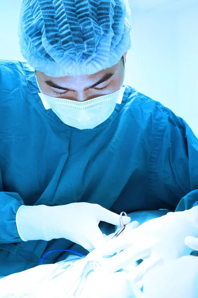 Veterinarian surgeons in operating room — Stock Photo, Image