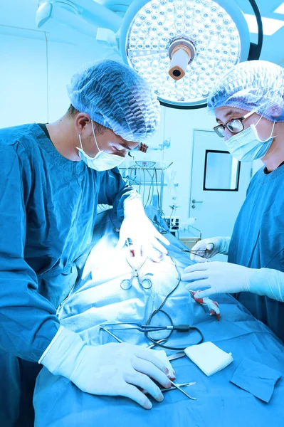 Dois cirurgiões veterinários na sala de operações — Fotografia de Stock