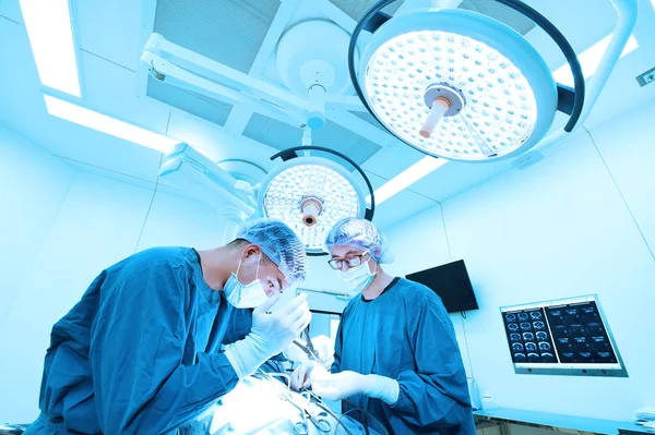 Dos veterinarios en quirófano —  Fotos de Stock