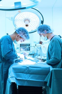 Ameliyathanede iki veteriner cerrah var. 