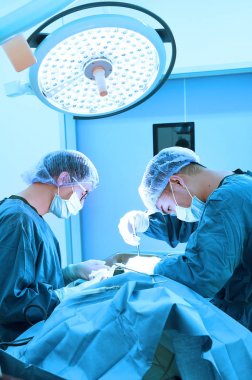 Ameliyathanede iki veteriner cerrah var. 