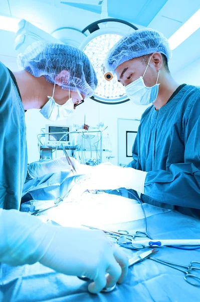 Dois cirurgiões veterinários na sala de operações — Fotografia de Stock