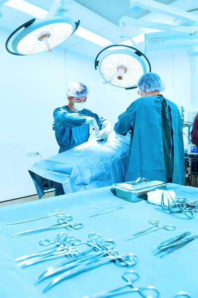 Two veterinarian surgeons in operating room — Stock Photo, Image