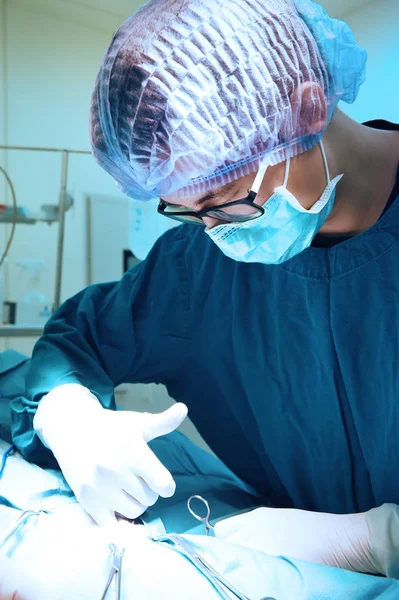 Dierenarts chirurgen in de operatiekamer — Stockfoto