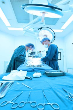 Ameliyathanede iki veteriner cerrah var. 