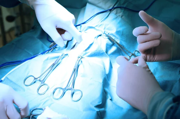 Lekarze weterynarii na sali operacyjnej — Zdjęcie stockowe
