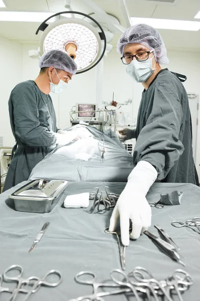 Two veterinarian surgeons in operating room — Stock Photo, Image