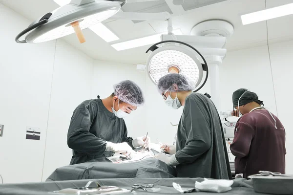 Kelompok dokter hewan melakukan operasi di ruang operasi — Stok Foto
